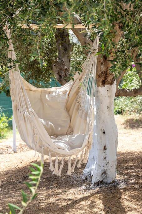 Olive Garden Villa Chania Khania Eksteriør bilde