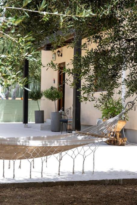 Olive Garden Villa Chania Khania Eksteriør bilde