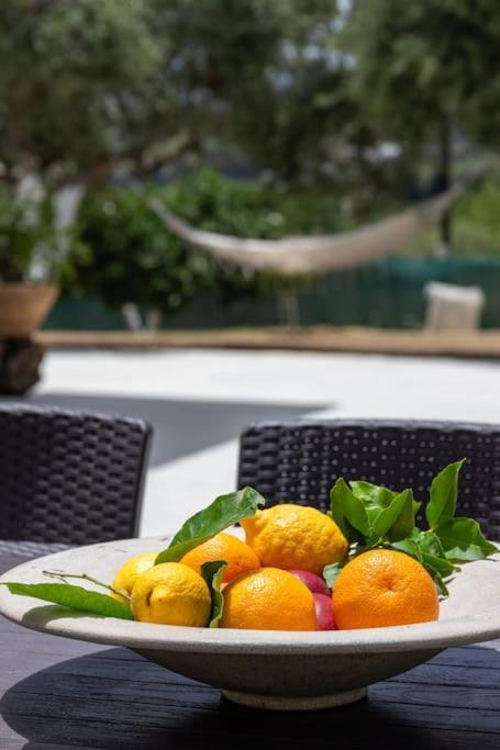 Olive Garden Villa Chania Khania Eksteriør bilde